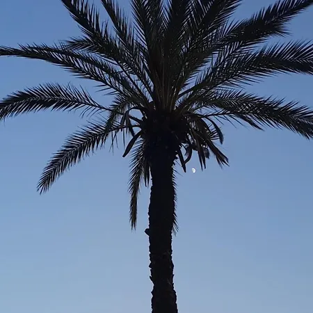 Апартаменты El Cosy De La Costa